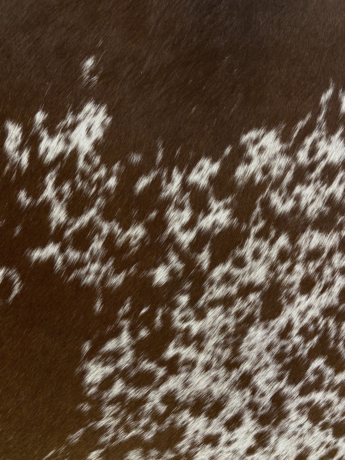 Brown and white spotted hide texture